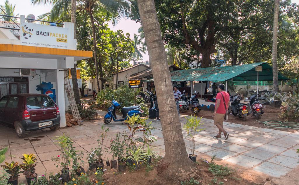 Backpacker Panda Goa Hostel Calangute Exterior foto