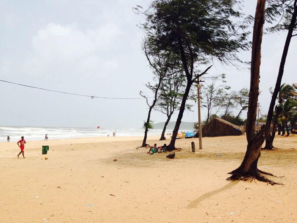 Backpacker Panda Goa Hostel Calangute Exterior foto